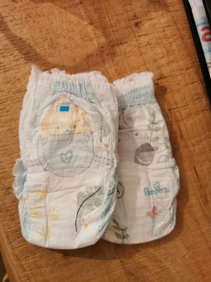 Pampers nr  4 in Röthenbach