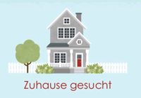 4-köpfige Familie aus Kahl sucht ein neues Zuhause Bayern - Kahl am Main Vorschau