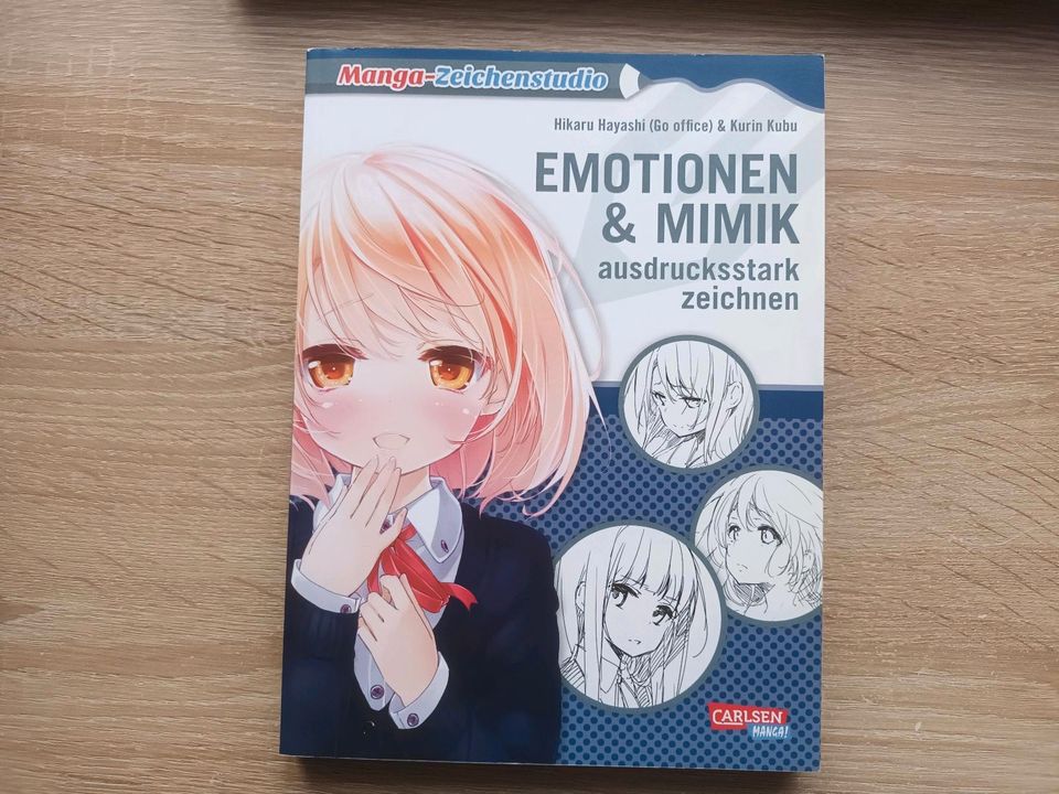 Manga zeichnen Emotionen & Mimik in Fürth