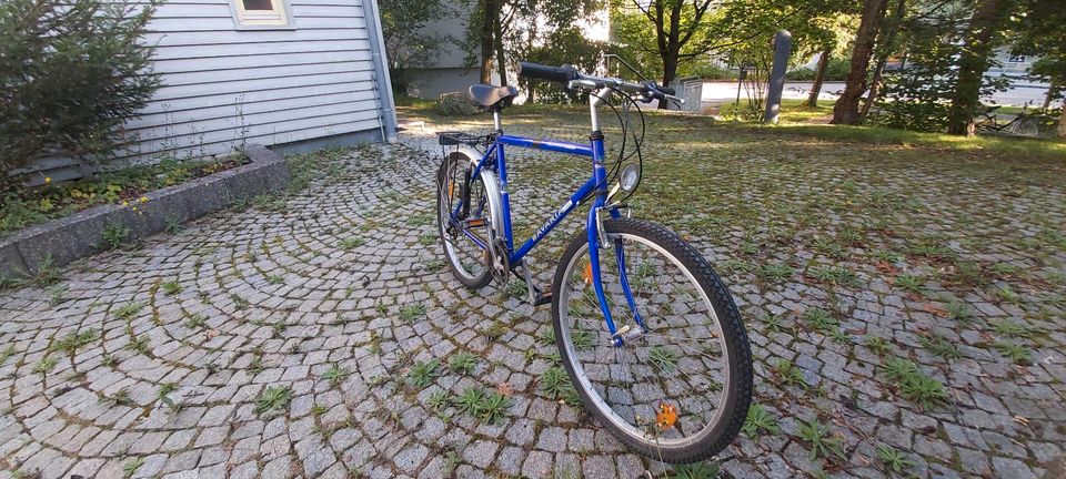 Gebrauchtes blaues Fahrrad in Bad Aibling