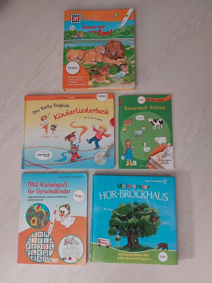 TING Bücher zum Stift Englisch Vorschule Brockhaus Zoo Bauernhof in Holzerode