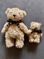 2 süße Teddybären - Mama mit Kind - suchen neues Zuhause Bayern - Würzburg Vorschau