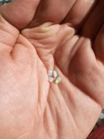 Opal Kristall Opal 4 x Opal schwarz Opal Schleswig-Holstein - Kiel Vorschau
