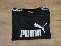 Puma Pulli Hessen - Frankenberg (Eder) Vorschau