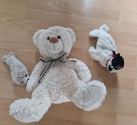 Kuscheltiere Robbe Teddybär Nordrhein-Westfalen - Warburg Vorschau