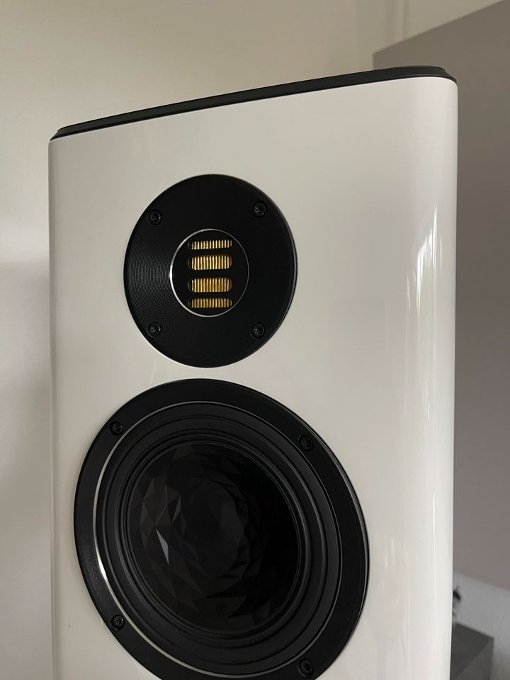 Elac Vela FS 409 in Asperg