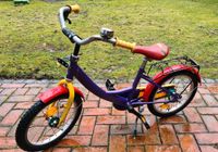 Kinderfahrrad 16 Zoll Unisex Kinder Fahrrad bunt Niedersachsen - Verden Vorschau