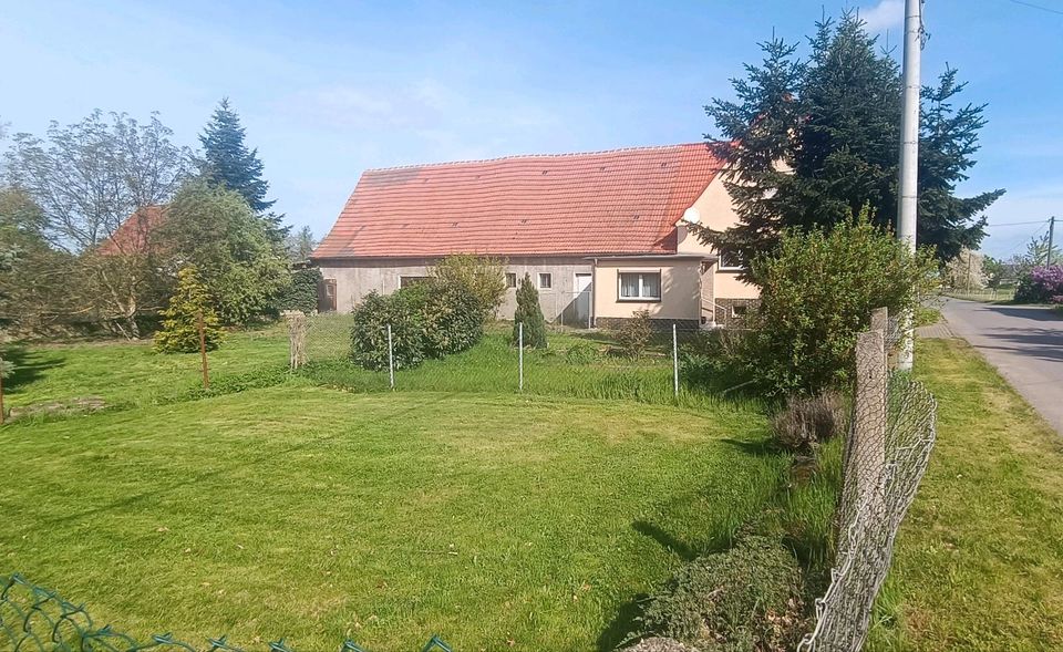 Einfamilienhaus mit Stallgebäude und Garage bei Belgern in Belgern