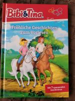 Bibi und Tina Buch Sachsen-Anhalt - Aschersleben Vorschau