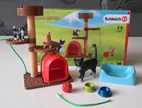 Schleich 42501 - Spielspaß für niedliche Katzen Essen-West - Frohnhausen Vorschau