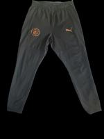 Puma Manchester City Trainingshose Gr.M Hessen - Groß-Gerau Vorschau