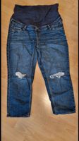 Umstands-jeans von H&M Dresden - Blasewitz Vorschau