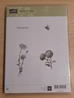 Stampin Up Springtime Hello Nordrhein-Westfalen - Isselburg Vorschau