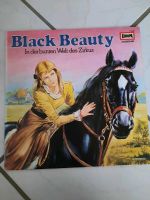 Black Beauty in der bunten Welt des Zirkus Hessen - Brensbach Vorschau