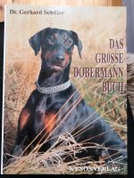 Das Grosse Dobermann Buch Brandenburg - Falkensee Vorschau