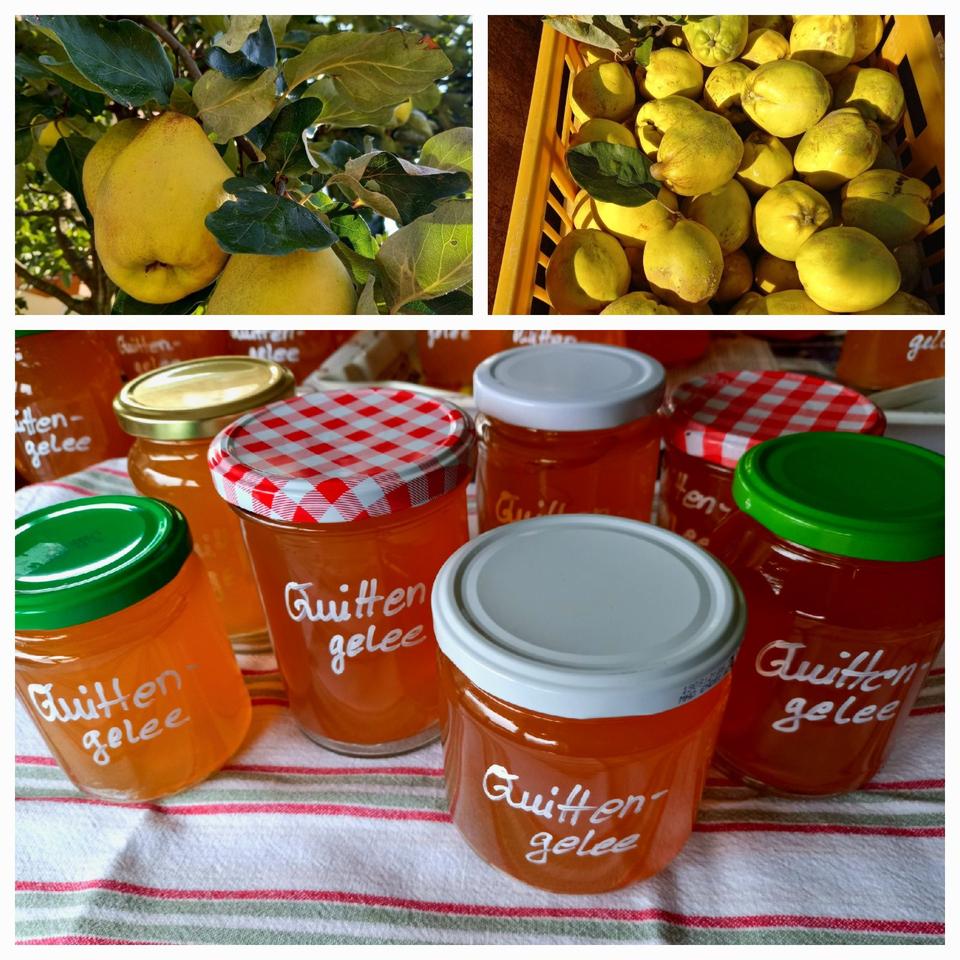 Quittengelee frisch eingemacht aus Quittensaft. BIO in Aschau im Chiemgau