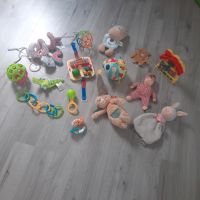 Spielzeug Baby/Kleinkind Nordrhein-Westfalen - Attendorn Vorschau