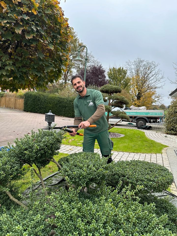 Heckenschnitt / Baumschnitt | Gartenpflege in Horst (Holstein)