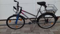 Damenfahrrad. 26 Zoll Fahrrad mit Korb. Niedersachsen - Uslar Vorschau