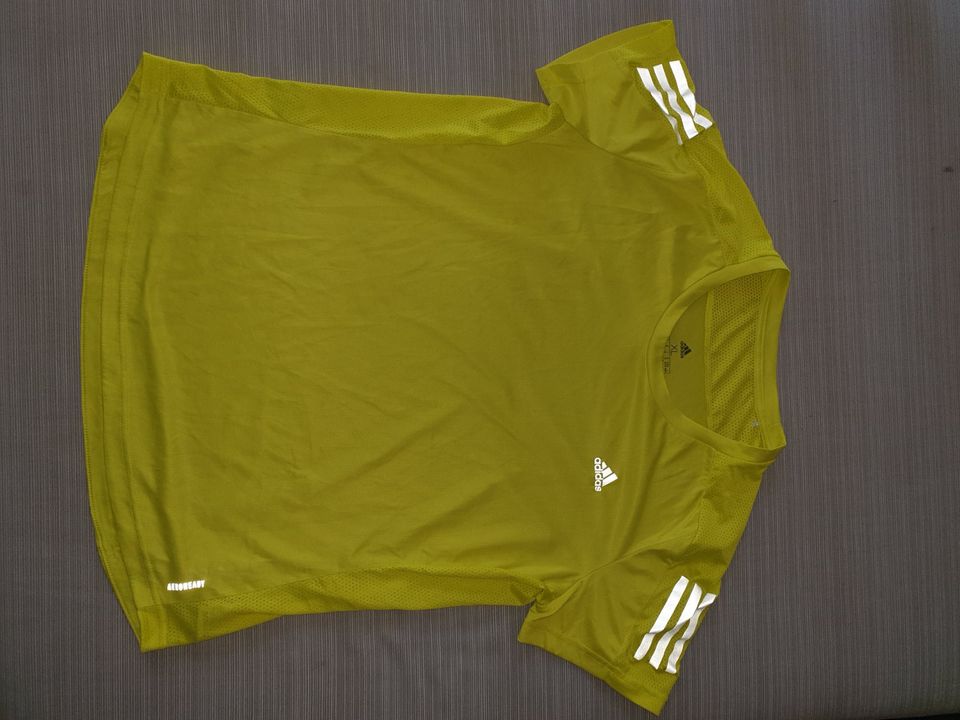 Adidas shirt neon gelb in XL in Waldbröl
