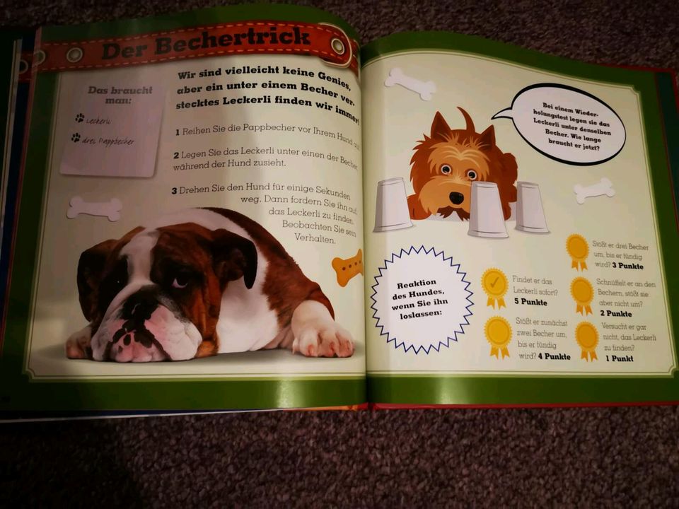 Buch: Wie clever ist ihr Hund? Testen Sie sein IQ in Wittstock/Dosse