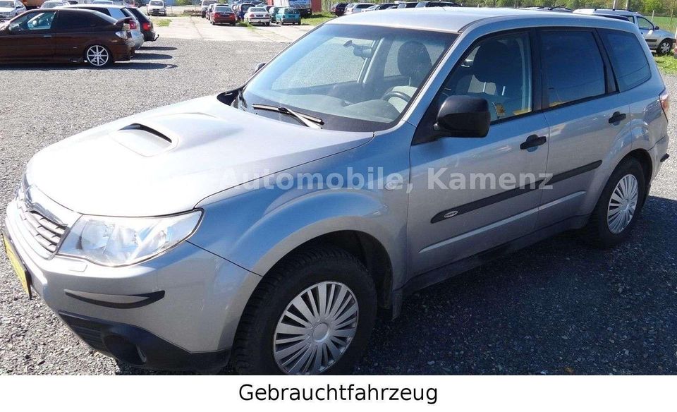 Subaru Forester Active in Kamenz