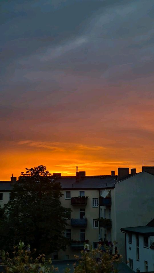 TAUSCH: 2 Zi Wohnung Weißensee gg. mind. 3,5 Zi Weißensee in Berlin