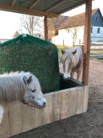 Offenstallplatz für Pony Bayern - Marktrodach Vorschau