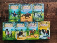 7 Bücher  Ponyhof Apfelblüte von Pippa Young Band 1 - 7 Saarland - St. Wendel Vorschau