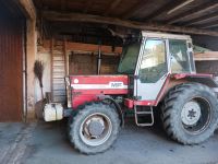 Massey ferguson 294 AS Rheinland-Pfalz - Wawern Vorschau