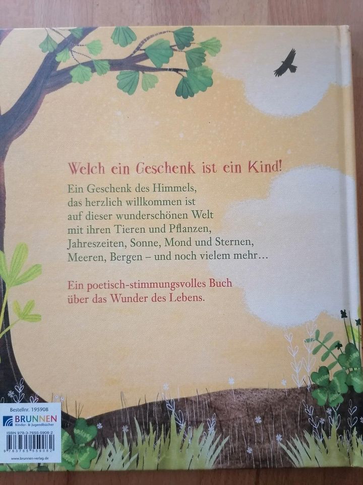 Kinderbücher Wimmelbuch Janosch James Krüss gute Nacht Jim Knopf in Alfdorf