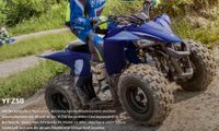 Yamaha YFZ 50 Kinderquad Dresden - Äußere Neustadt Vorschau