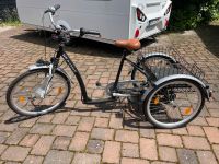 Dreirad E-Bike - Wildeagle Nordrhein-Westfalen - Bocholt Vorschau