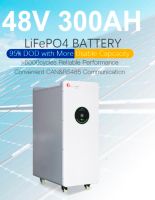 15Kwh 48V Speicher Solar Akku Batteriespeicher 51.2V 300Ah LiFePO4 Lithium 15Kwh Sachsen-Anhalt - Stendal Vorschau