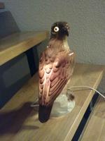 Rauchverzehrer Adler DDR Baden-Württemberg - Reutlingen Vorschau