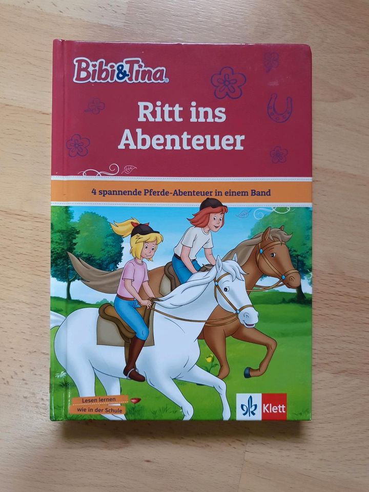 Kinderbuch Bibi und Tina Ritt ins Abenteuer in Tann