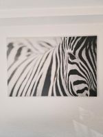 Zebra, Ikea Bild Rheinland-Pfalz - Altrip Vorschau