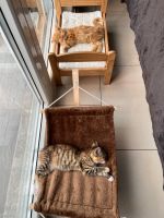 Katzen Zubehör. Hängematte und Bett (ohne Katzen) Nordrhein-Westfalen - Nettetal Vorschau