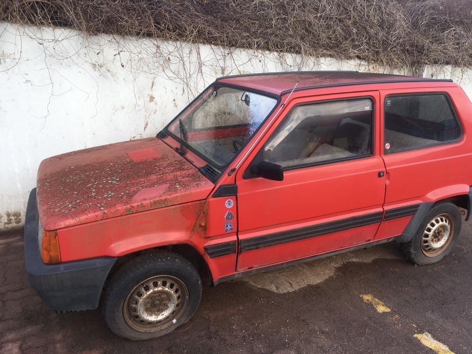 Fiat Panda in Mansfeld