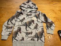 Sehr schöner Pullover mit Dinosauriern, Jurassic World, Gr. 110 Kr. München - Höhenkirchen-Siegertsbrunn Vorschau