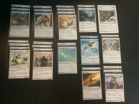 Mono weißes Magic the Gathering Deck, MTG Karten C11 Schleswig-Holstein - Börm Vorschau