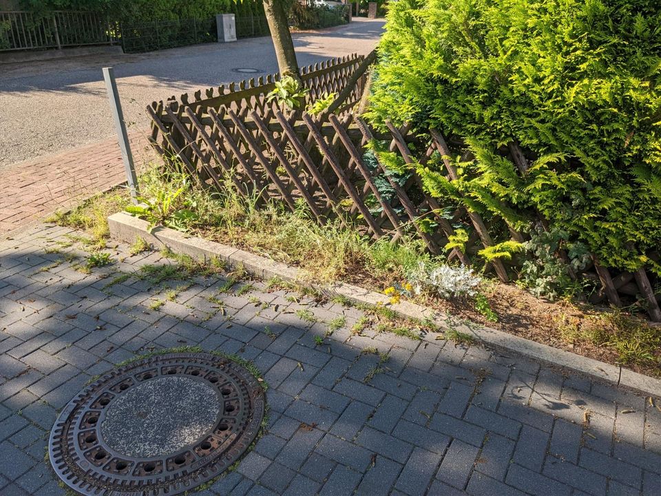 Gartenarbeit (Stutzen/Schneiden/Pflege) in Neumünster