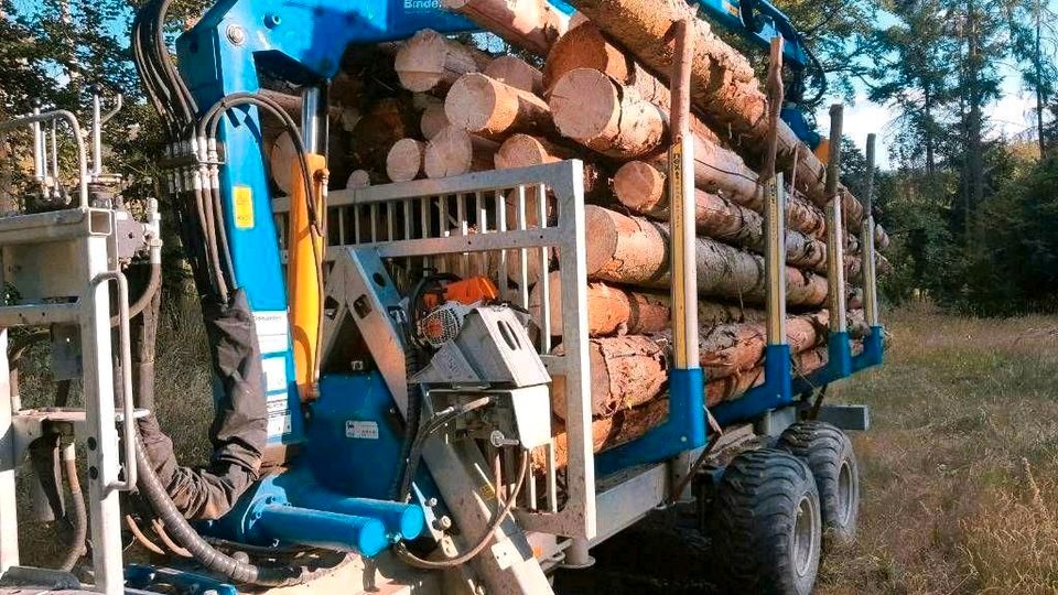 Stammholz Fichte Käferfichte Lkw geliefert Poltern Brennholz in Gladenbach