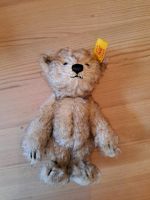 Steiff Teddybär Petsy 027413 Niedersachsen - Hameln Vorschau