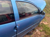 Renault Twingo 2 Tür Vorne Rechts Blau Komplett Rheinland-Pfalz - Plaidt Vorschau