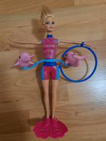 Mattel X8380 - Barbie - Delphintrainerin Badebarbie Dresden - Loschwitz Vorschau