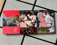 Boys Love Yaoi Manga Set auf japanisch Hessen - Darmstadt Vorschau