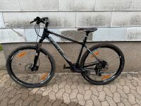 Carver MTB Fahrrad PHT 29“ 50cm Rheinland-Pfalz - Kruft Vorschau