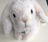 Steiff Hase Lauscher *NEU* Bayern - Augsburg Vorschau