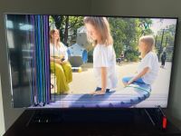 Samsung UHD GQ65Q67RGTXZG TV Displayschaden Bayern - Mengkofen Vorschau